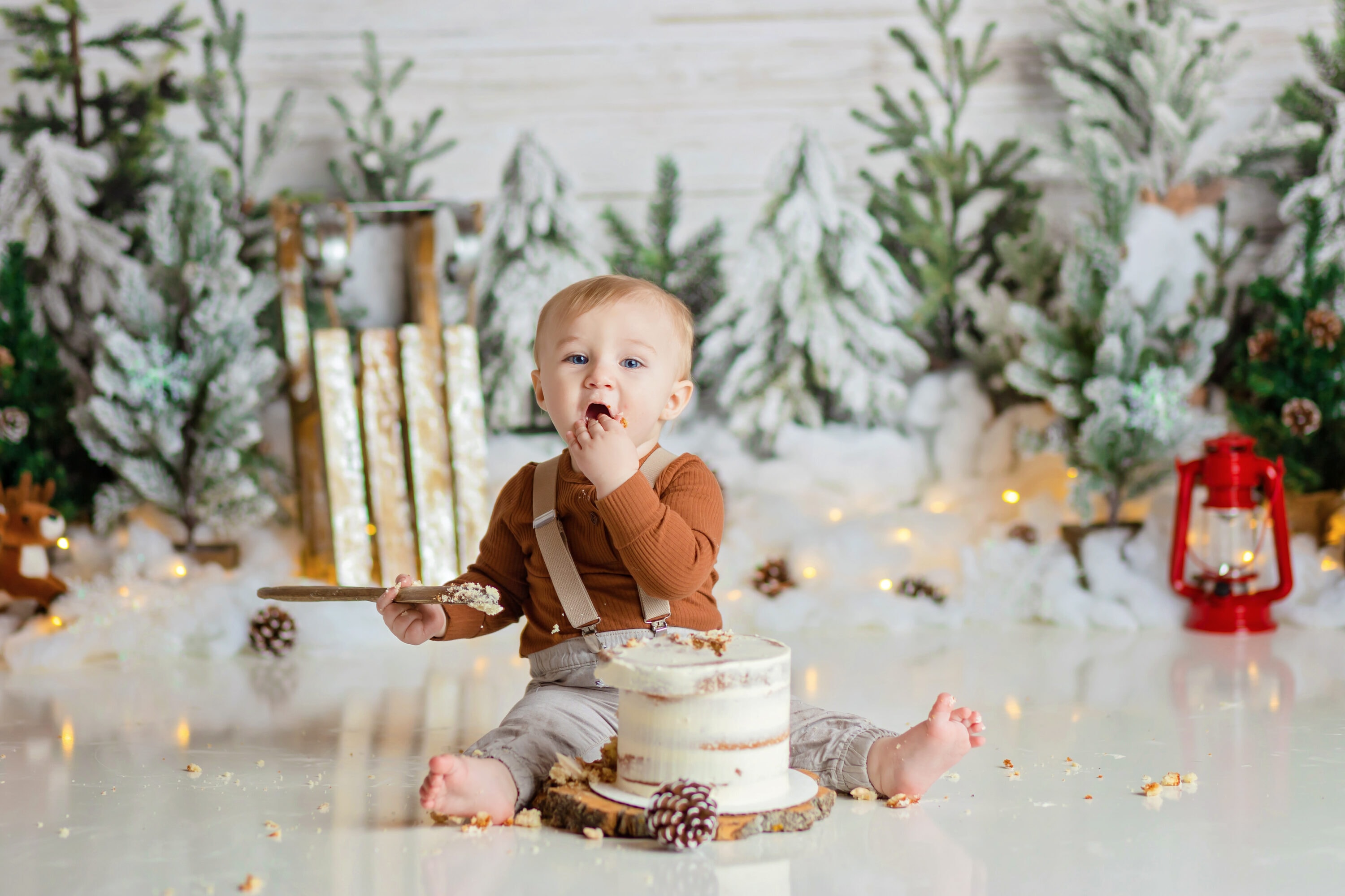 Baby boy winter onederland cake smash