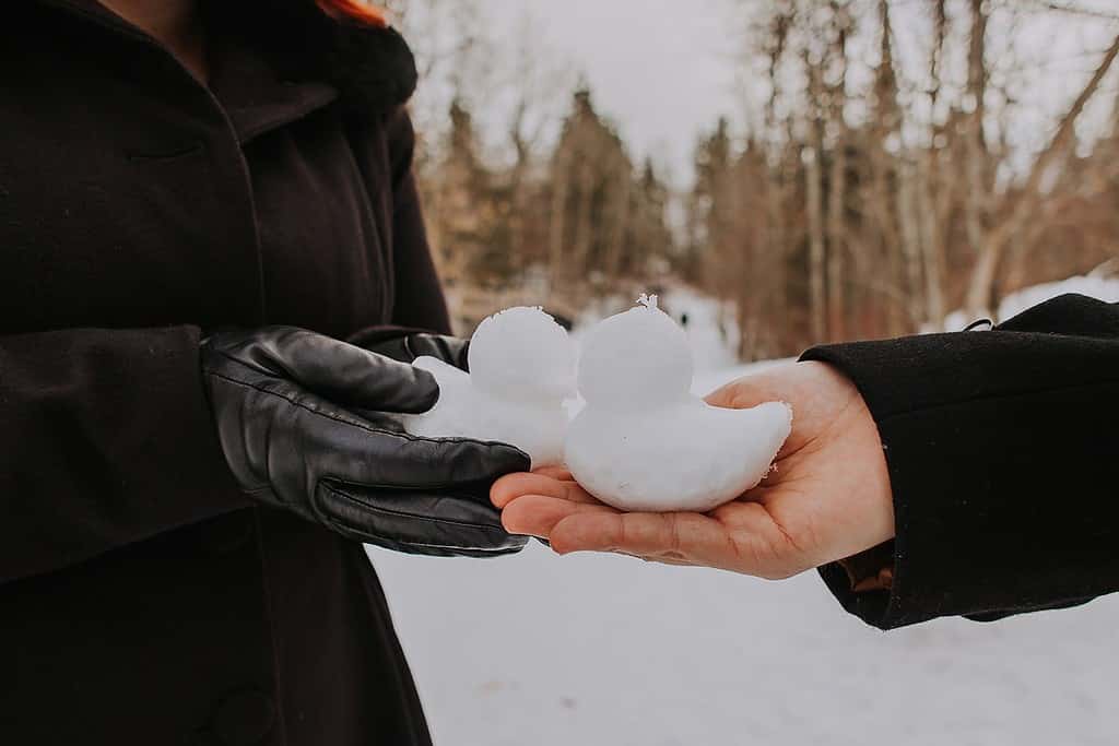 Gloved hands holding snow ducks at an engagement photography session in mill creek ravine