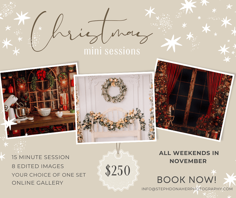 Christmas Mini Sessions Are here!